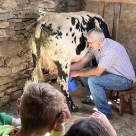 Top of the Rock David Ross milking